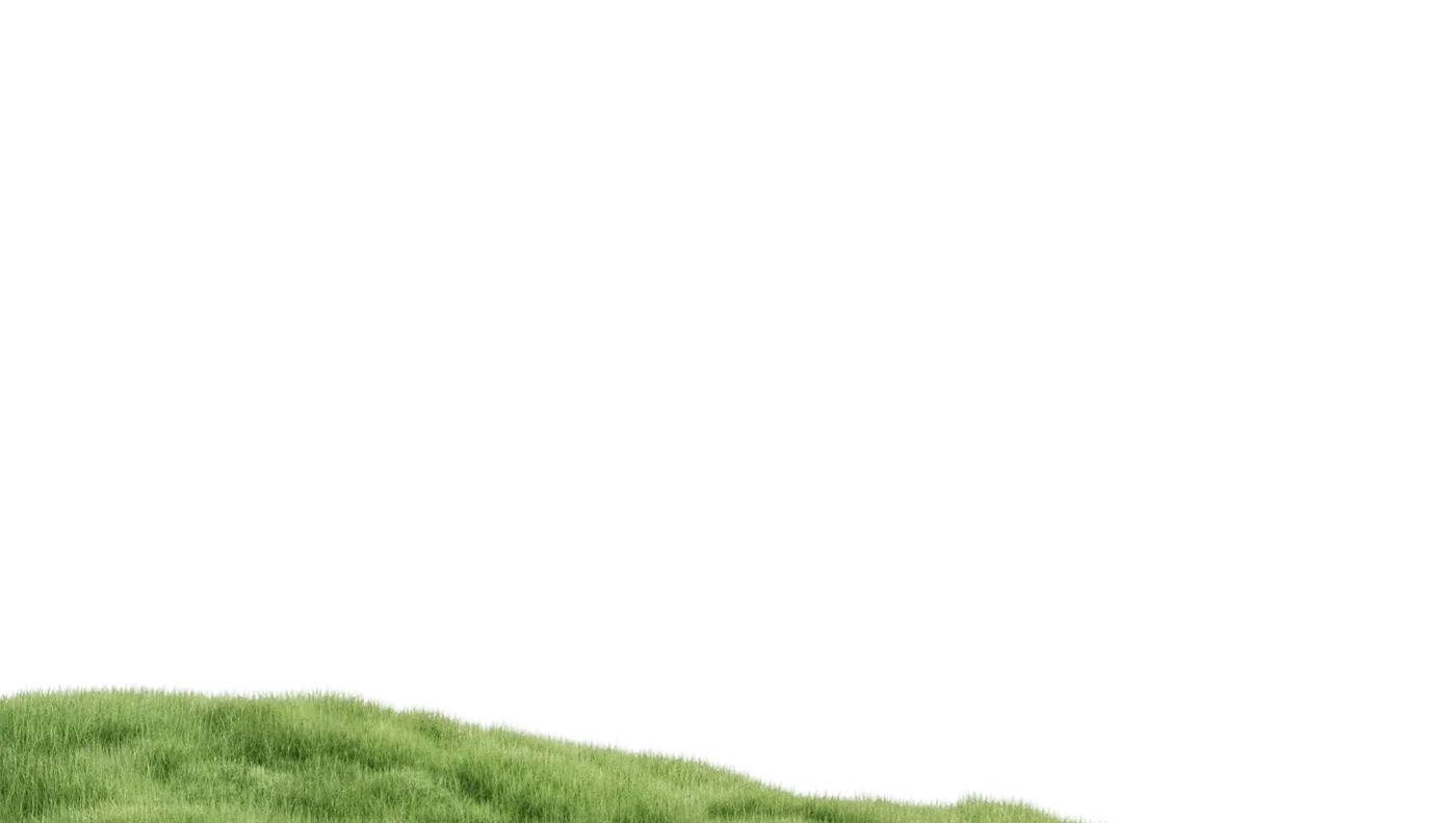 Grass field foreground overlay on Savefrom video download page