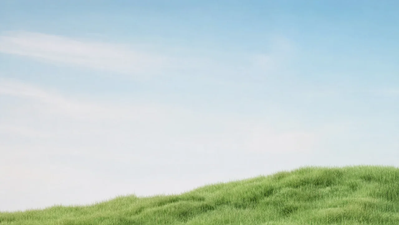 Green meadow and cloudy sky background on Savefrom free video downloader
